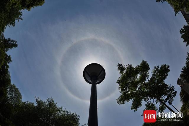 成都天空又现“日晕”惊艳朋友圈