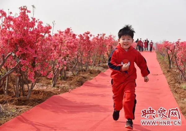 汝州这条主题线路，全国有名