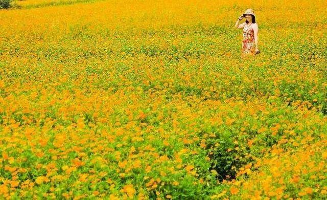 汝州这条主题线路，全国有名