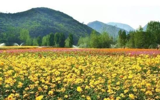 汝州这条主题线路，全国有名