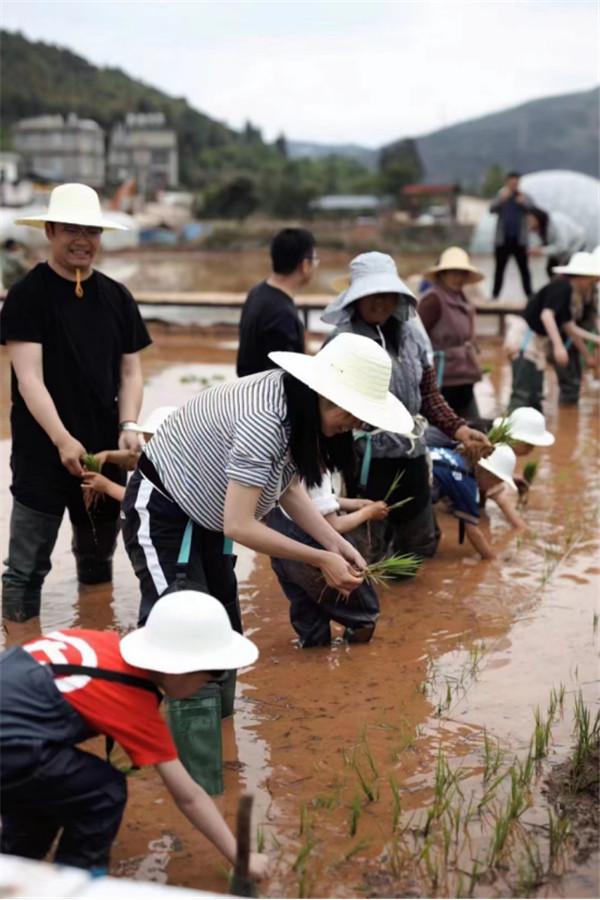 又是一年立夏时 五华区西翥街道掀起农业生产种植高潮