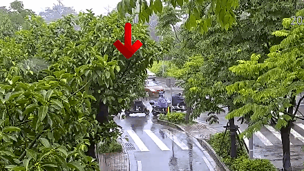 “我要报警，有公交车撞我！”