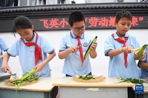 浙江湖州：推进中小学劳动教育课程常态化