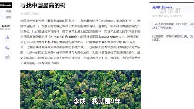 76.8米！中国大陆已知第一高树是如何被发现的