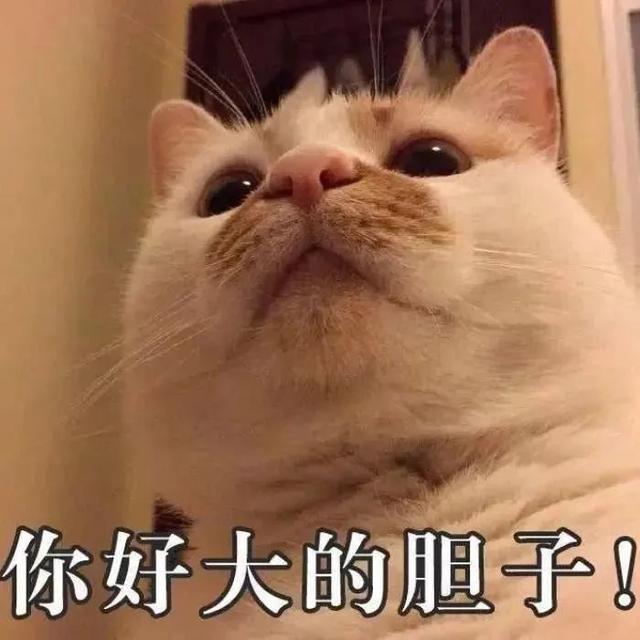 查获假烟5650条！保山警方破获一起非法经营卷烟案