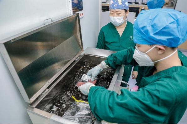 深大总医院成功开展首例成人自体造血干细胞移植