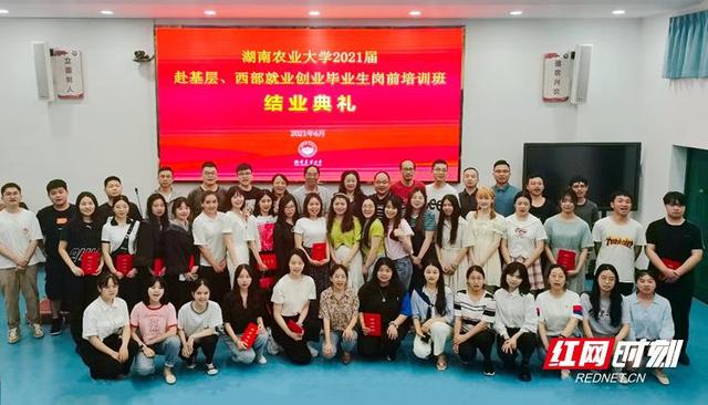 公示！湖南6个西部计划项目办入围团中央表彰榜单