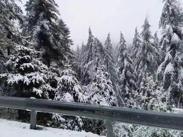 陕西多地下雪了！厚达15厘米！立夏后又穿上秋裤正常吗？专家回应