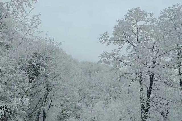 专家解读陕西多地异常降雪