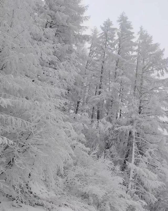 陕西多地下雪了！厚达15厘米！立夏后又穿上秋裤正常吗？专家回应