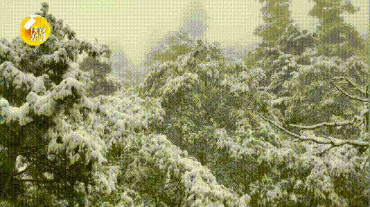 陕西多地下雪了！厚达15厘米！立夏后又穿上秋裤正常吗？专家回应
