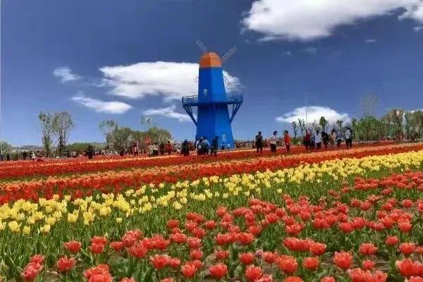 中国旅游日：内蒙古各地推出旅游惠民措施