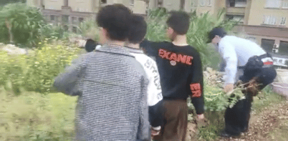 “警察叔叔，我们在山坡发现了罂粟！”