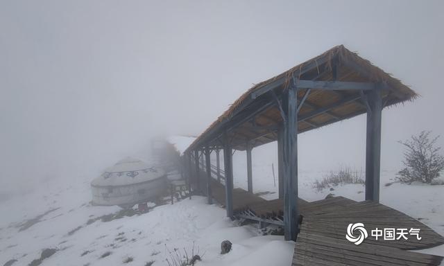 陕西紫柏山风景区飘雪 高海拔地区积雪深度达5厘米
