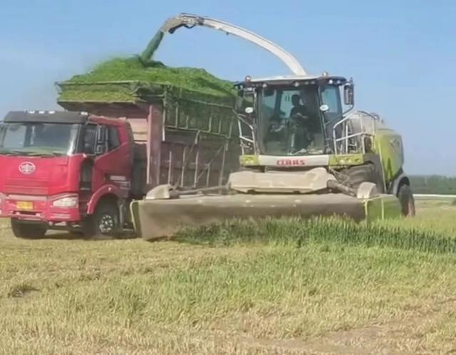 毁小麦青苗建光伏发电站，官方已调查清楚！但有件事不容忽视