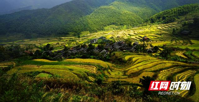 长沙旅游景点简短介绍词（严华千年宝庆）(5)