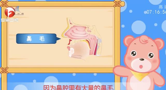 为什么不能挖鼻孔？挖鼻孔会带来3个不良后果