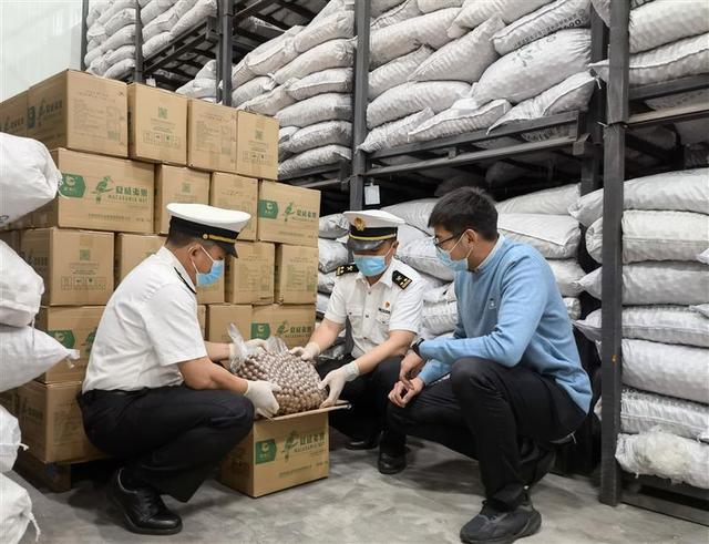 小坚果铺就致富路——昆明海关助力云南坚果远销海外