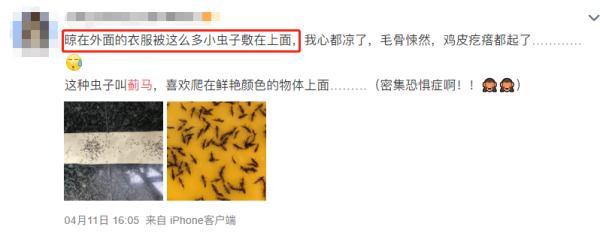 紧急提醒！最近少穿黄色、绿色衣服出门