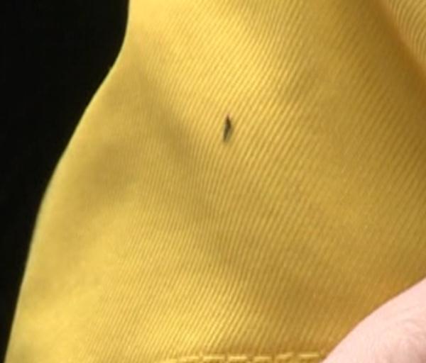 紧急提醒！最近少穿黄色、绿色衣服出门