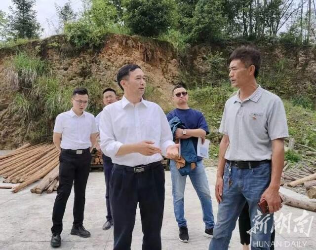 欧阳斌深入桥头乡开展“稳定粮食播种面积”专项民主监督