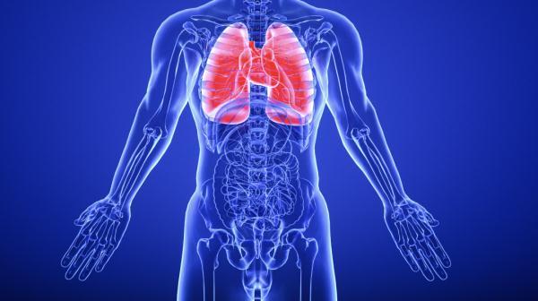 这三个运动可以帮助你锻炼心肺功能，提高免疫力→