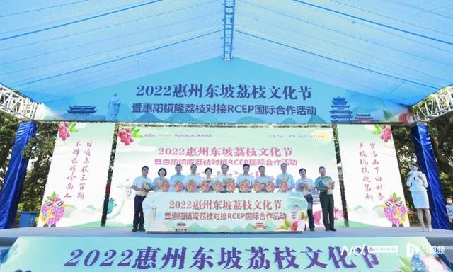 惠州荔枝节在哪举办「挂绿荔枝」
