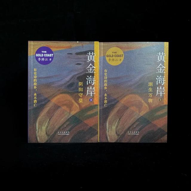 海滨城市和滨海城市有什么区别（黄金海岸一部滨海城市的发展史与滩涂的消亡史）(1)