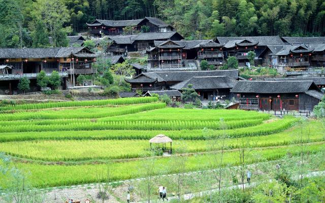 试点农民住房公积金制度 这个地方创新有何意义 |新京报专栏