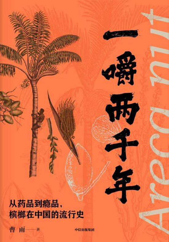 槟榔的药用历史「什么东西可以代替槟榔的瘾」
