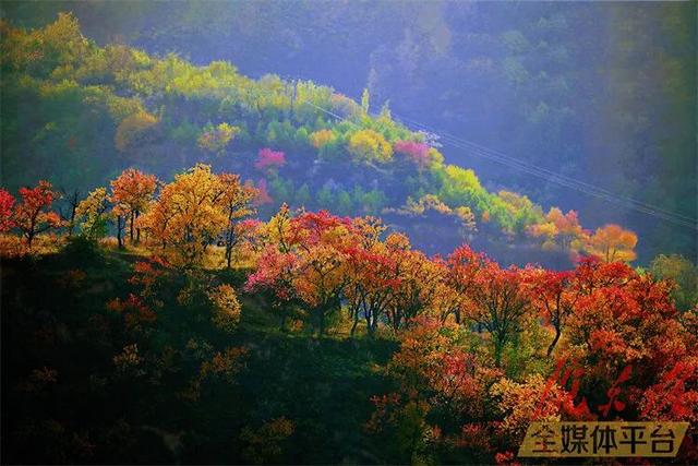  美醉了！云游赏秋色，带您身临其境感受庆阳秋景！