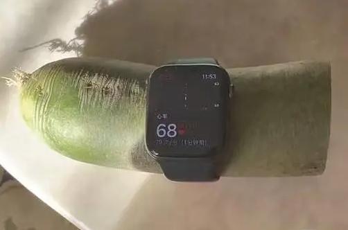 苹果手表绑萝卜上，测出68次/分的心率？网友：测纸巾80次/分！官方回应：可能是设备比较灵敏……