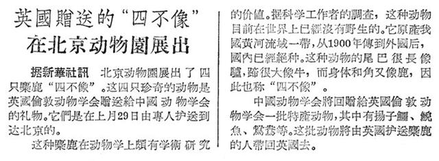 溫故丨呦呦鹿鳴響徹南海子，背後是一段從絕跡到重生的傳奇 - 