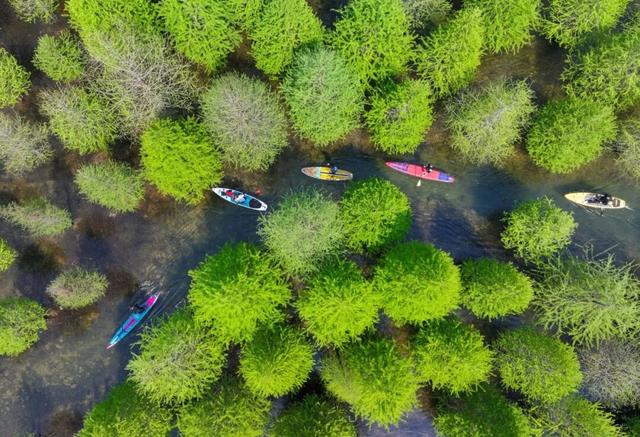 ↗30℃↘15℃！直接打對摺！這波太猛了