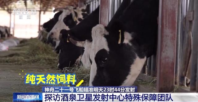 航天員乘組飲食情況如何？實地探訪特殊保障團隊 - 天天要聞