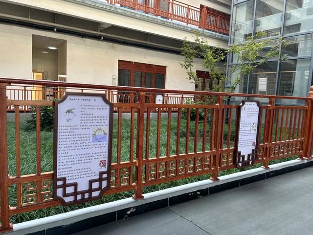 病媒如何防制？來這兒學！ - 