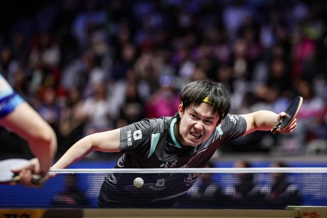 樊振東林詩棟頂峰相見，孫穎莎王曼昱再度對決 - 