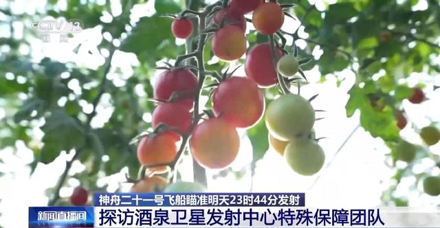 航天員乘組飲食情況如何？實地探訪特殊保障團隊 - 天天要聞