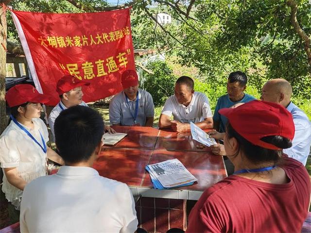 大垌鎮：“聯絡站+”激活基層民主“一池春水” - 