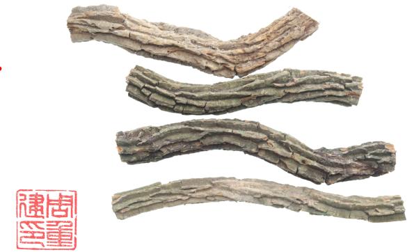 3g就能致死！復刻“莫氏雞煲”別弄錯這個原料→ - 