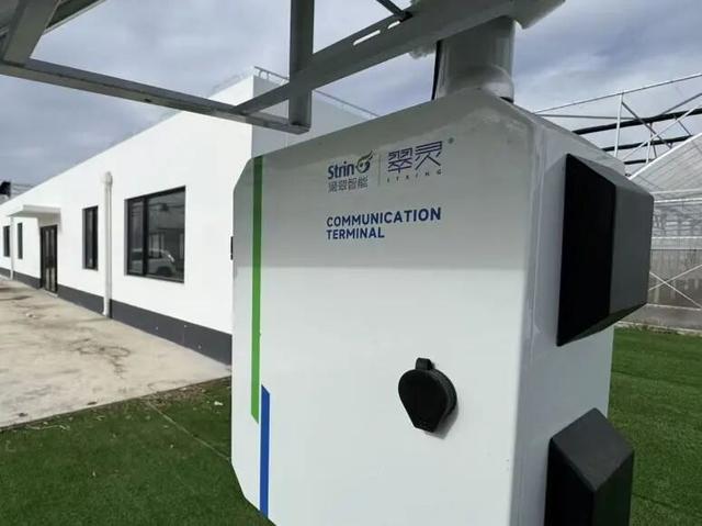 海派鄉村新圖景丨魔都農業科創力：光譜為眼、算法為腦，滴翠智能以AI賦能智慧農業 - 