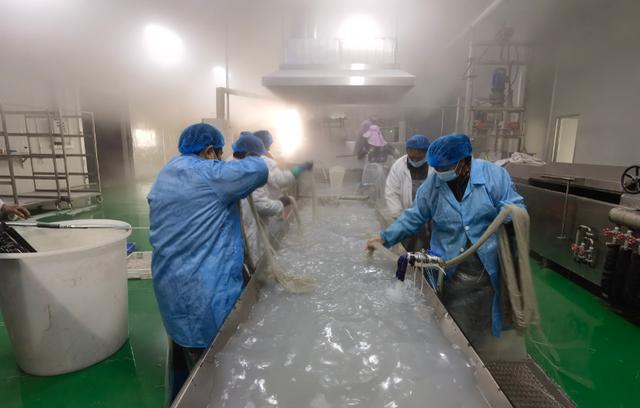 履職這一年丨劉井粉絲“破圈”記 - 