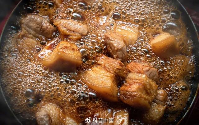 燉肉時出現的浮沫，是營養精華還是髒東西？該不該撇去？ - 