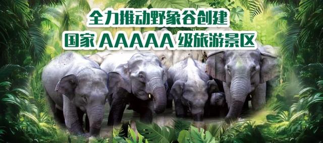 2025年全國“兩紅兩優”表彰名單公布！快來看看西雙版納有哪些？ - 