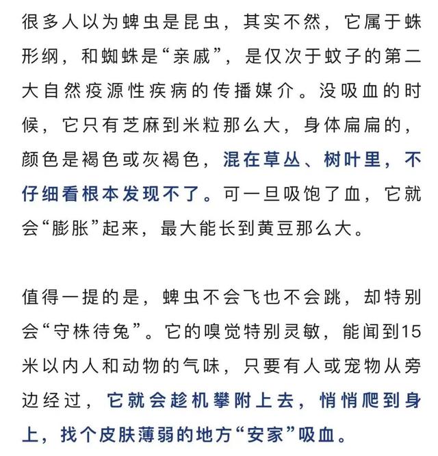 警惕！春日踏青需防範蜱蟲 - 