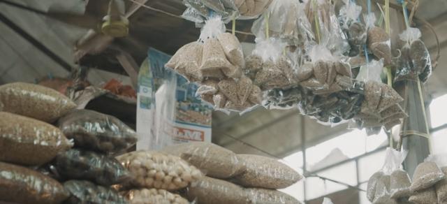 這檔剛開播的節目，盡顯中醫的“國際范兒” - 