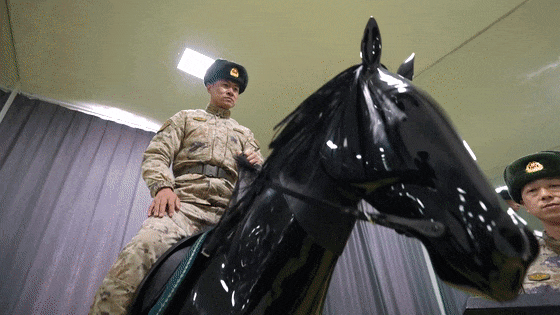 嘿，你知道軍馬怎麼敬軍禮嗎？ - 