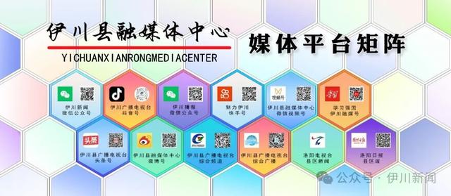 伊川：大風雨雪來襲…… - 