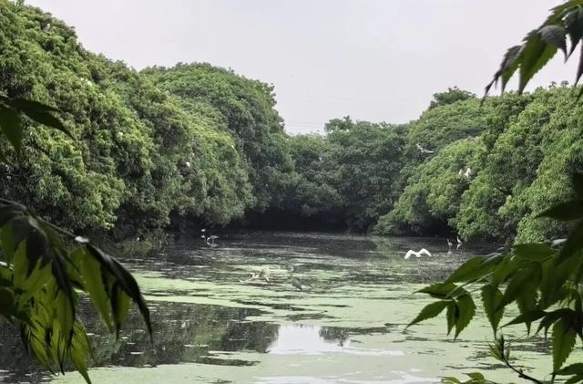 中航租住REIT認購情況分享