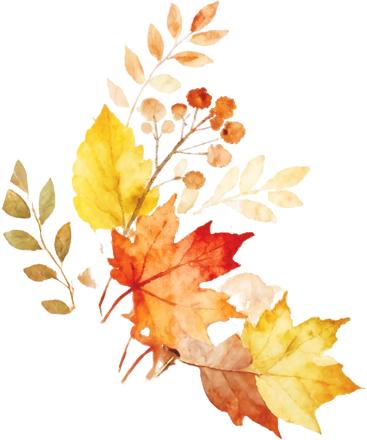 數字賦能提質效 精準資助促公平——武威市2025年學生資助工作暨全國學生資助數字化平台應用市級培訓會成功舉辦 - 